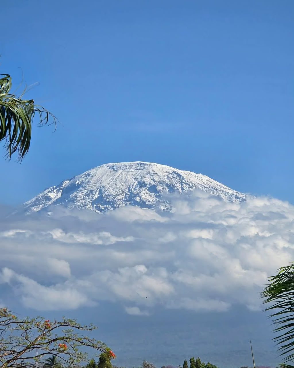 Kilimanjaro