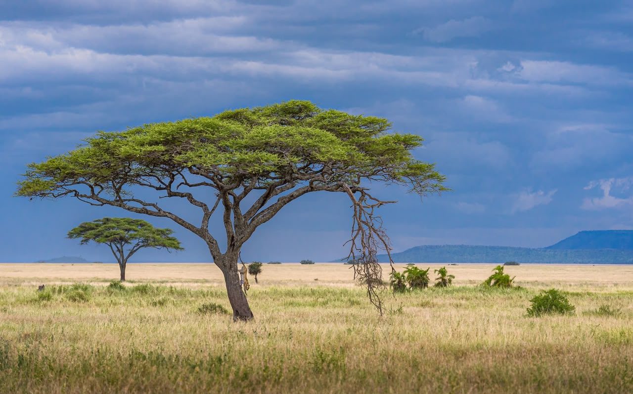 Serengeti & Ngorongoro Classic Safari